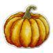Plastic Cross-Stitch Kit &ndash; "Pumpkin" (Double-Sided) FLX-092 FLX-092 photo 3