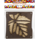 Bead Organizer Box &ndash; &ldquo;Maple Leaf&rdquo;, With Clear Lid FLZB-038 FLZB-038 photo 4