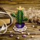 Wooden Bead Embroidery Kit &ndash; &ldquo;Cactus&rdquo; FLK-189 FLK-189 photo 1